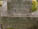 image of grave number 17476